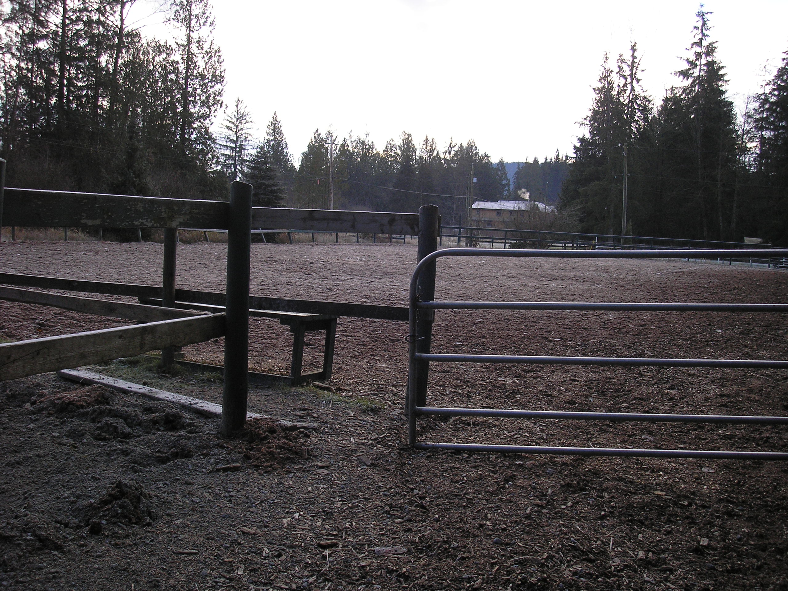 pic3