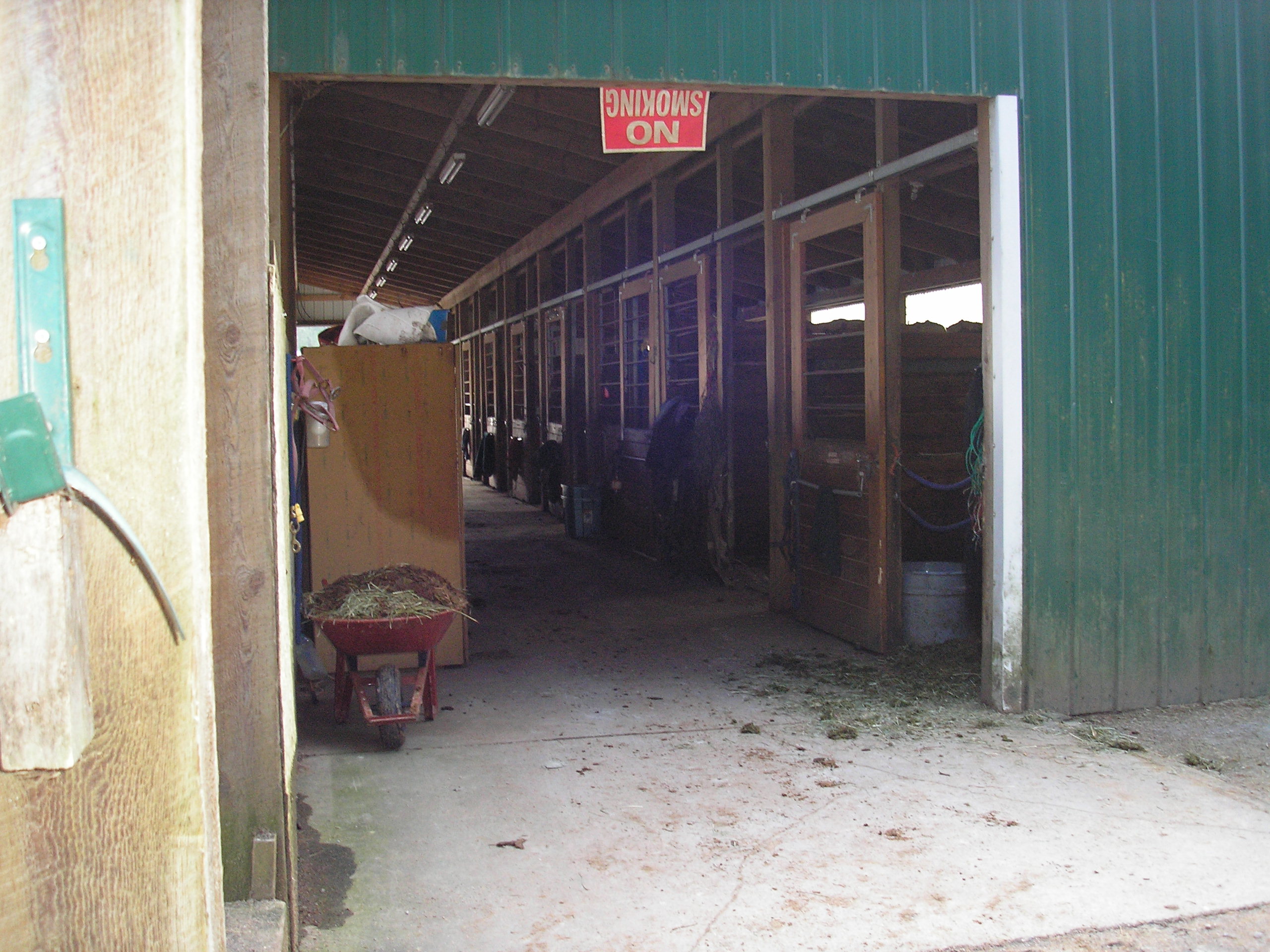 pic5
